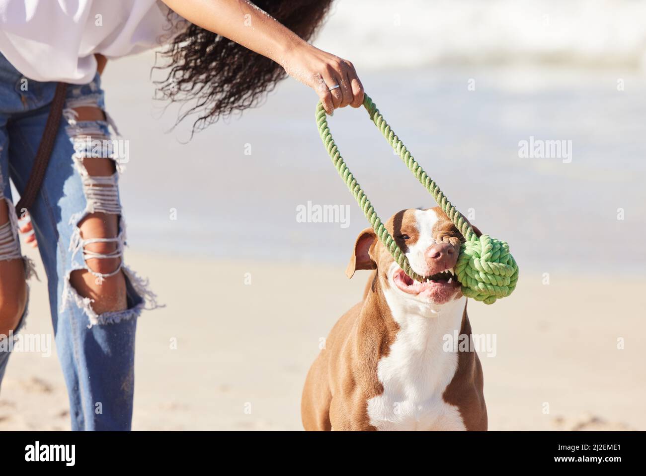 Dog Knots Woman