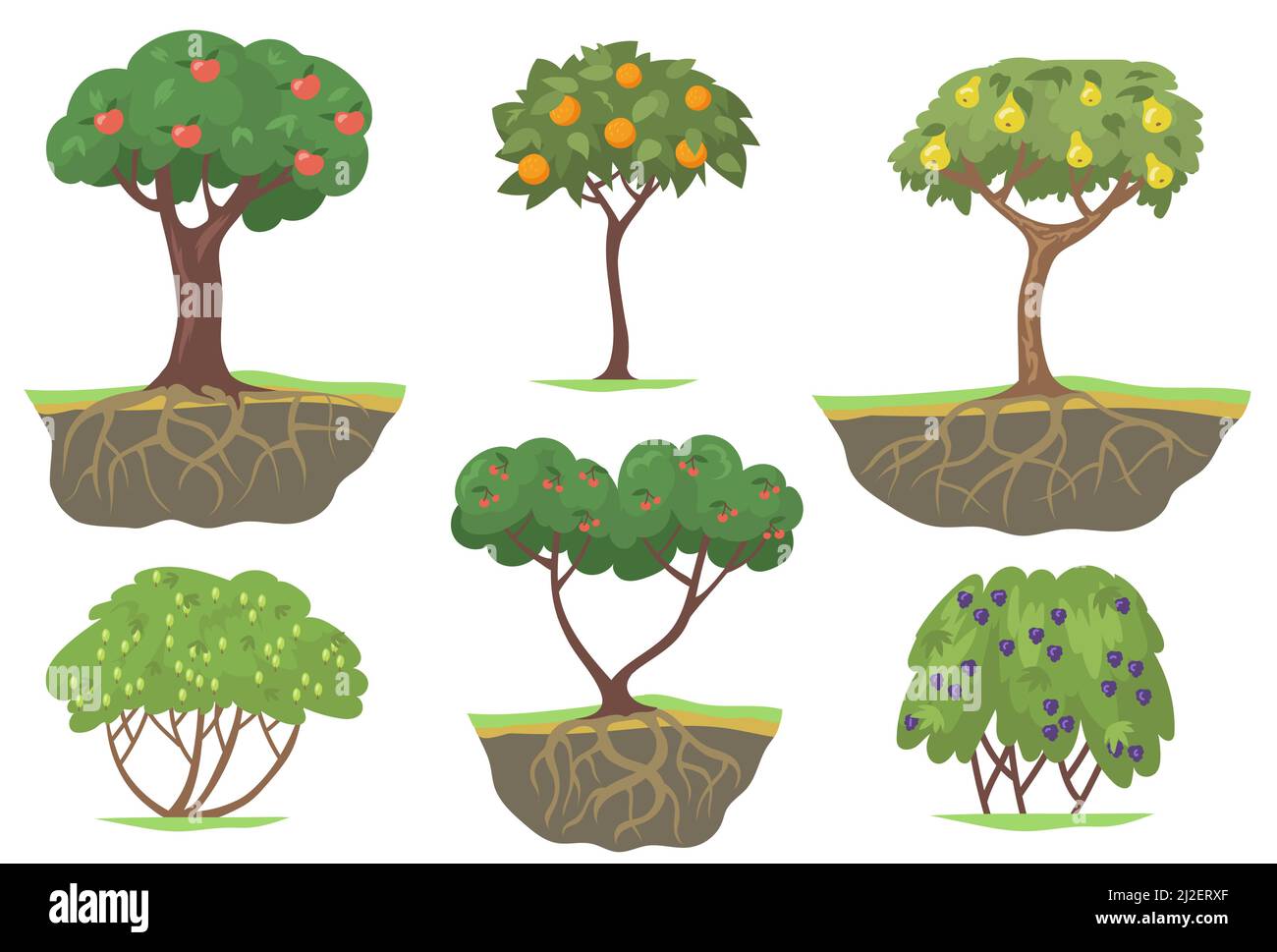 Green fruit trees and berry bushes flat set for web design. Cartoon ripe apples, oranges, peaches and blackberry isolated vector illustration collecti Stock Vector