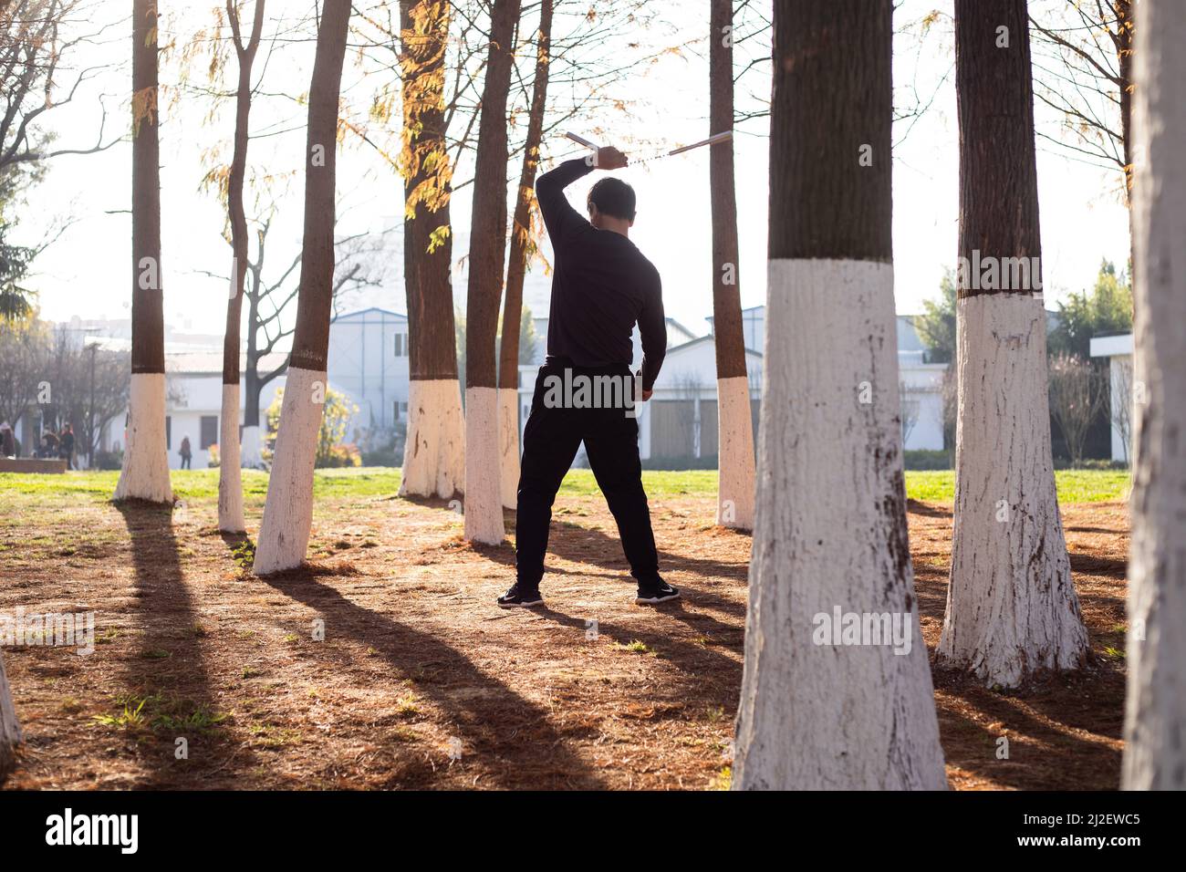 Elder man excercise martial arts in a park with trees around Stock Photo