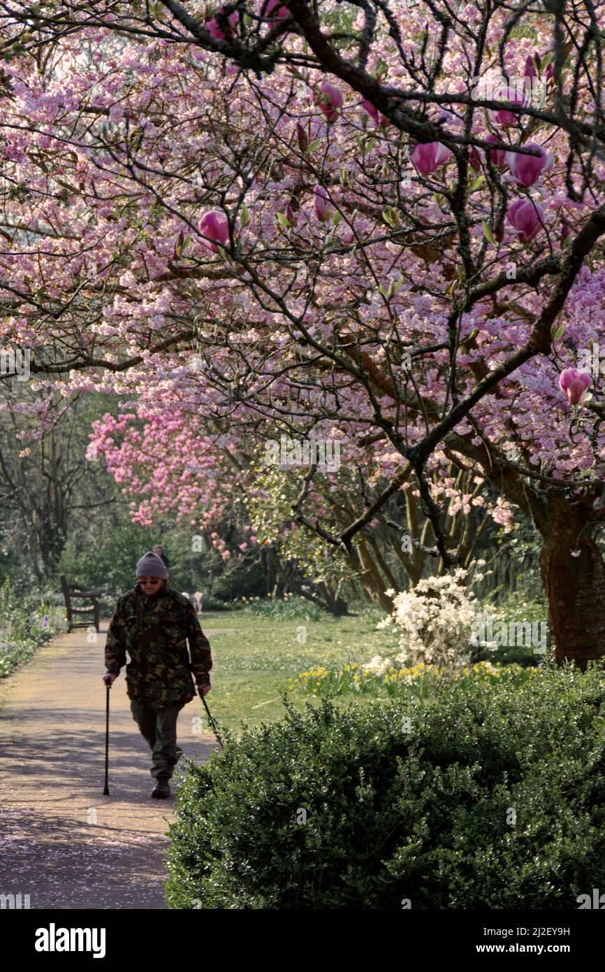 Spring in Bath Stock Photo - Alamy