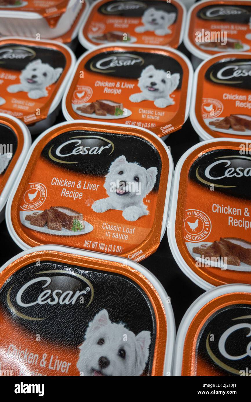 Cesar small breed gourmet dog food tins, USA Stock Photo