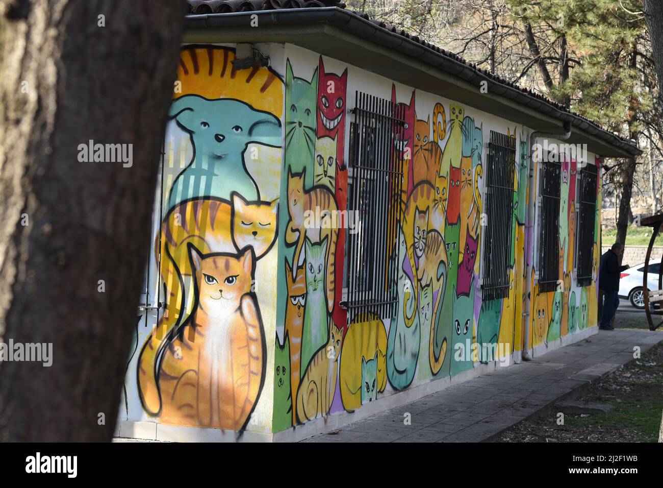 Mural with cats and dogs on the wall of a veterinary clinic for street