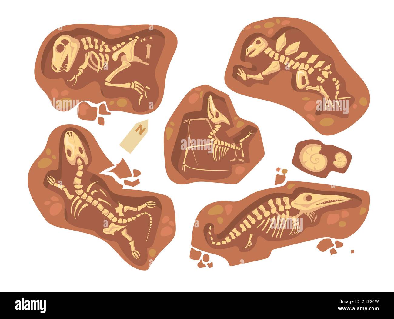 Cartoon set of different dinosaur fossils. Flat vector illustration