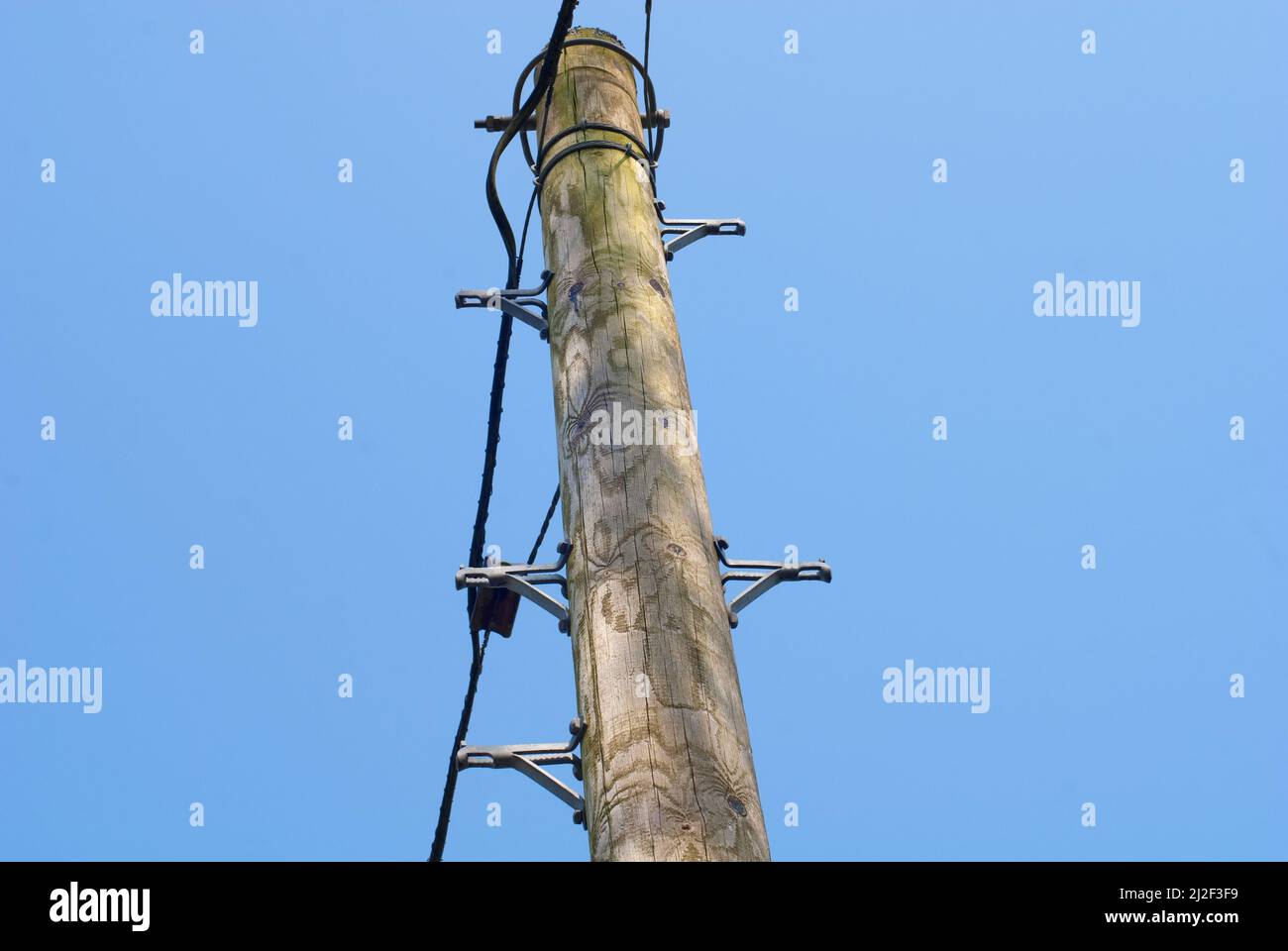 Telegraph pole steps and (copper cable) infrastructure. Stock Photo