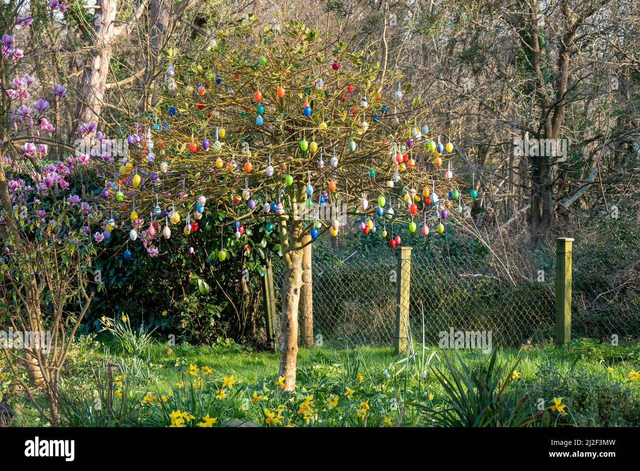 bright multi coloured easter eggs hanging from a tree Stock Photo