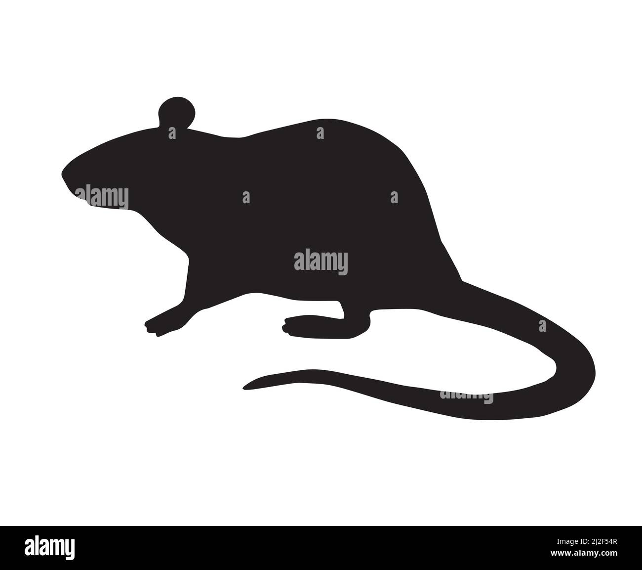 Vector flat black standing rat silhouette isolated on white background