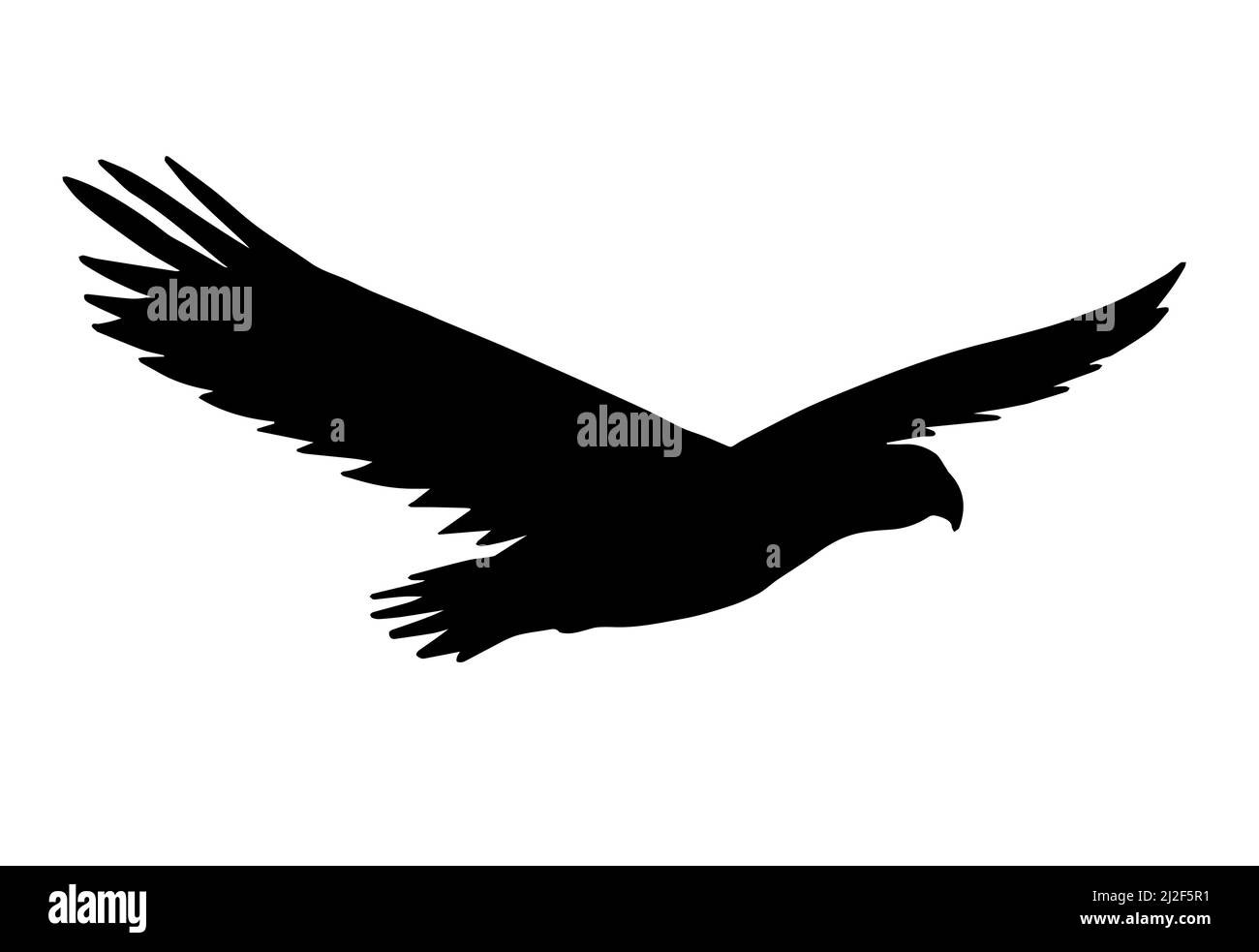 Vector flying American eagle silhouette isolated on white background Stock Vector