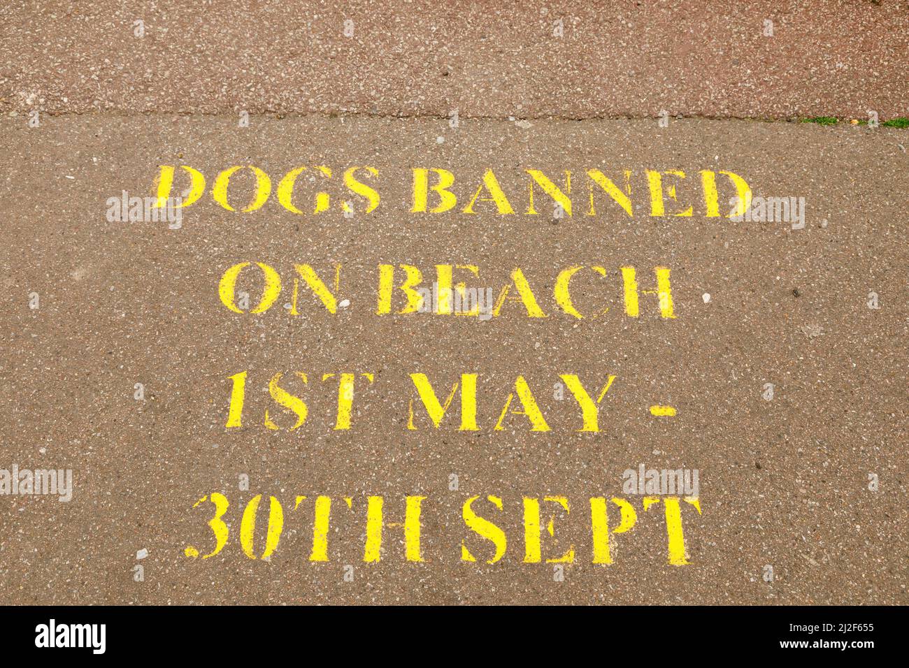 Notice painted onto the promenade pavement. Dogs banned on beach, 1st