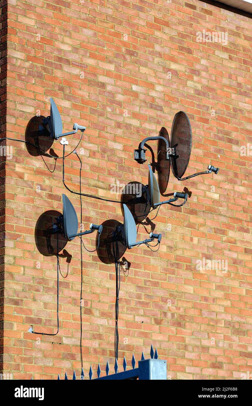 Four Sky television satellite dishes in close proximity attached to a brick wall West London England UK Stock Photo