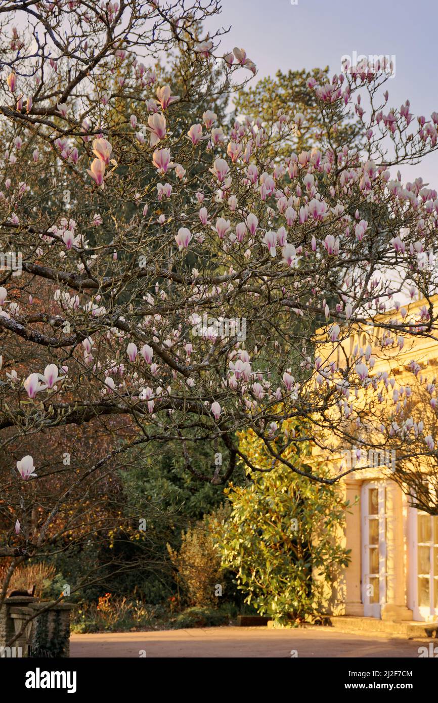 Spring in Bath Stock Photo - Alamy
