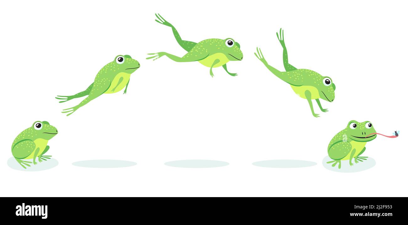 Animated process of frogs leaps sequence. Cartoon toad jumping for prey, catching insect vector illustration set. Animal, movement concept Stock Vector