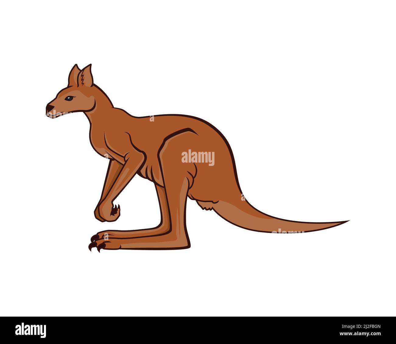 Detailed Standing Kangaroo Illustration the Indigenous Fauna to Australia Vector Stock Vector