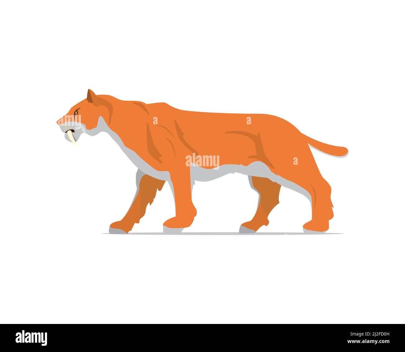Detailed Saber-Toothed Tiger Illustration Vector Stock Vector