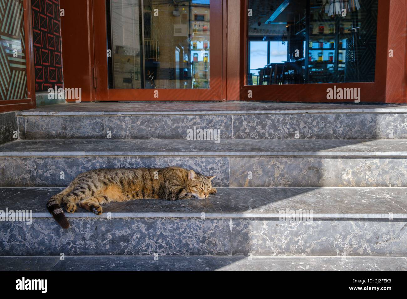 A cat finds some shade on a restaurant steps, Mellieha Bay, Malta Stock Photo