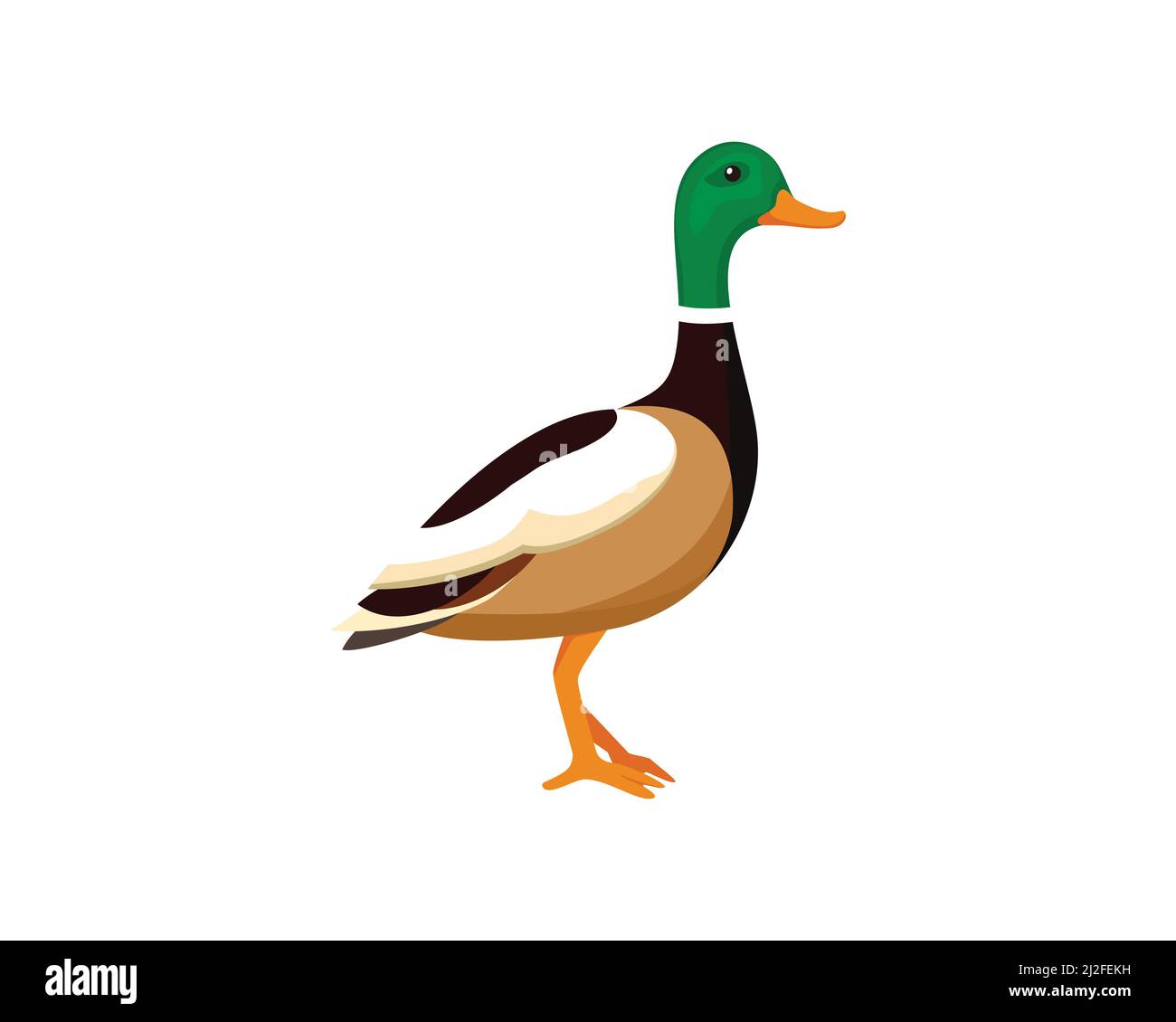 Standing Whistling Duck Illustration Vector Stock Vector