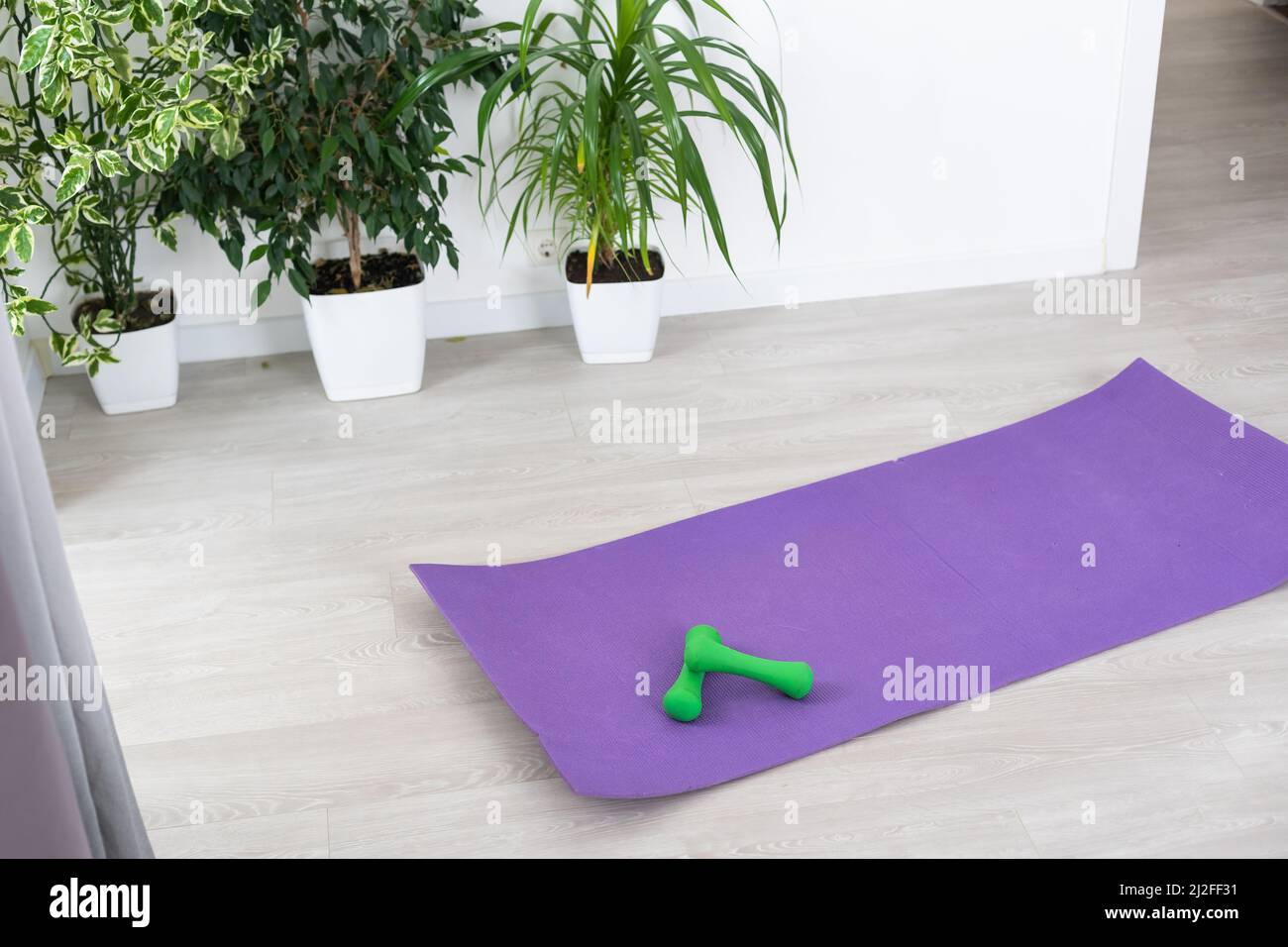 Training at home concept interior decorative sport in the room with gym fitness exercise purple mat dumbbell Stock Photo Alamy