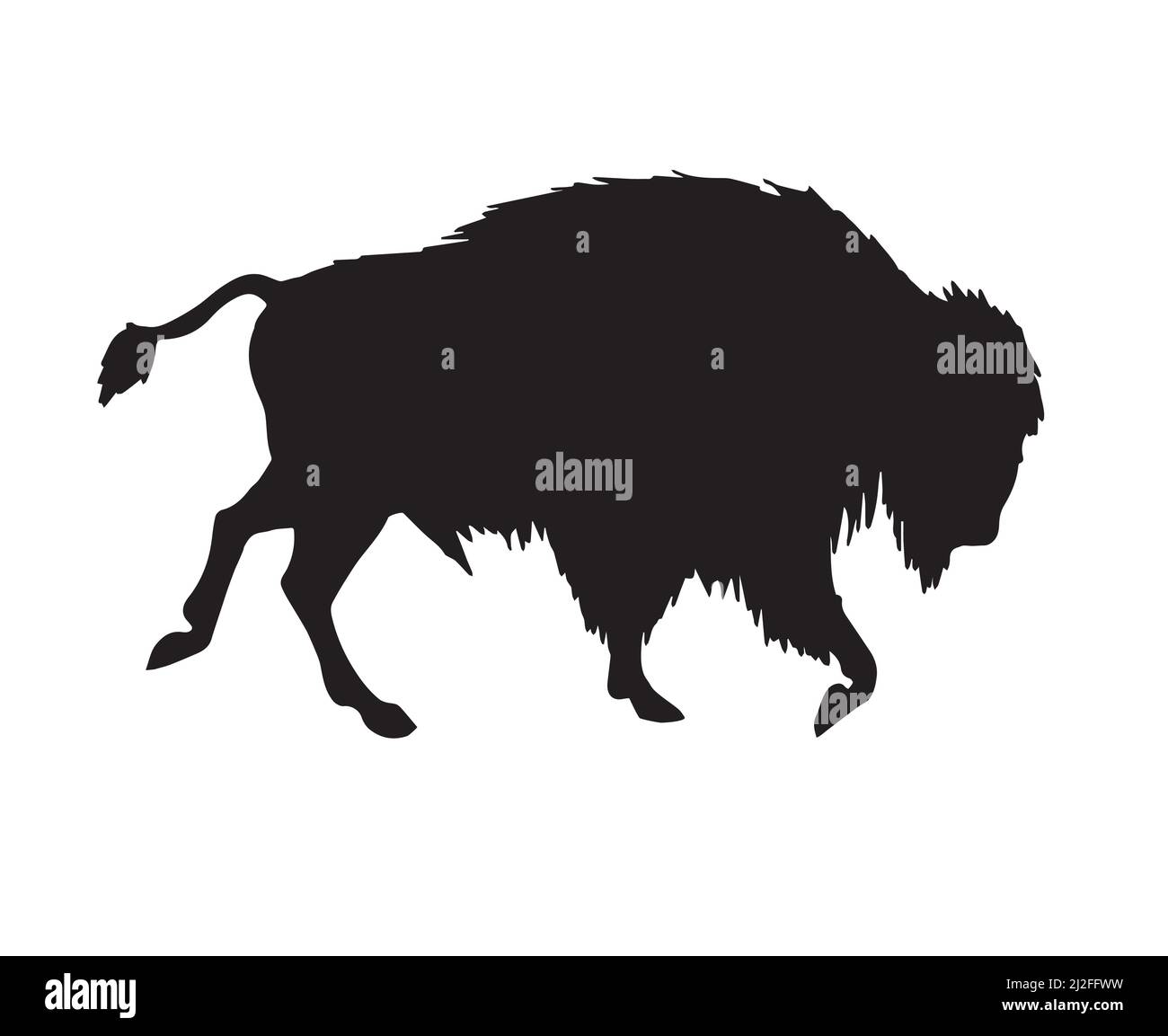 Vector black wild bison ox silhouette isolated on white background ...