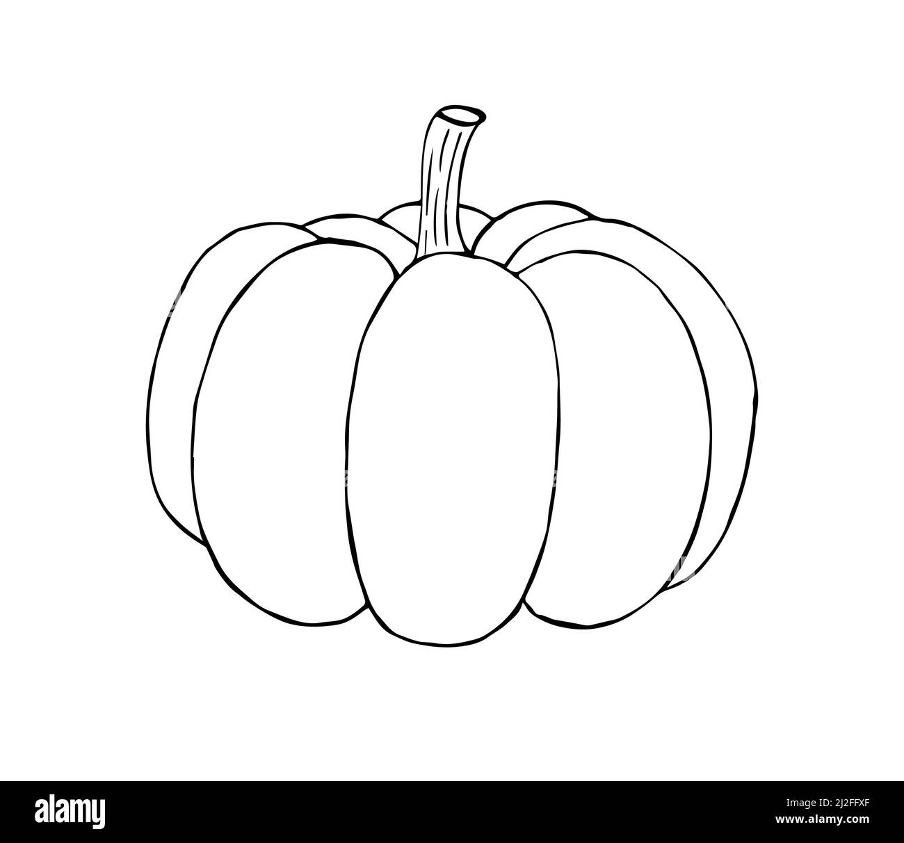 Vector hand drawn sketch pumpkin isolated on white background Stock ...