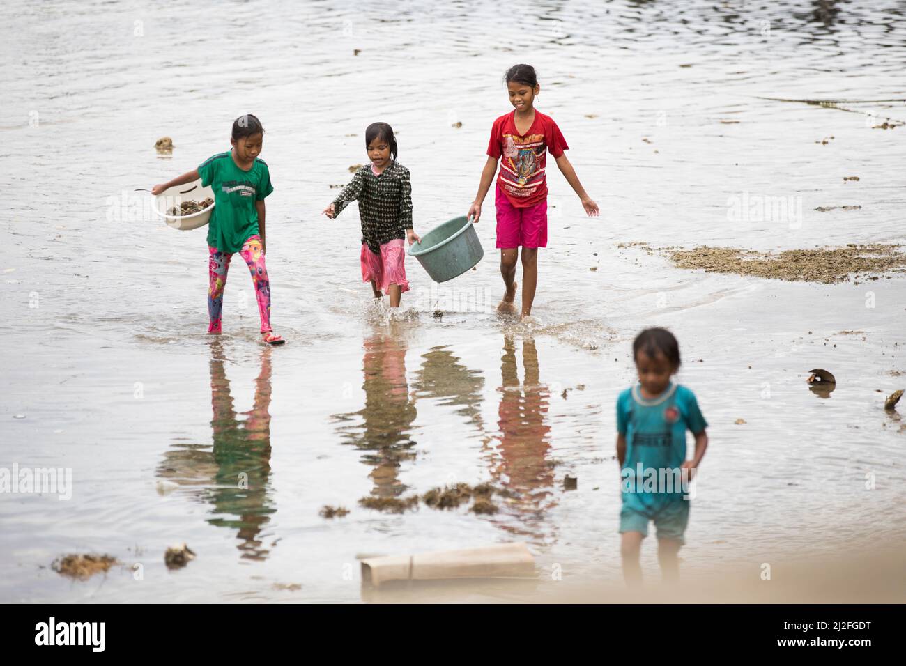 Children scavenge for crabs on the shores of Karampuang Island, Indonesia, Asia. Stock Photo