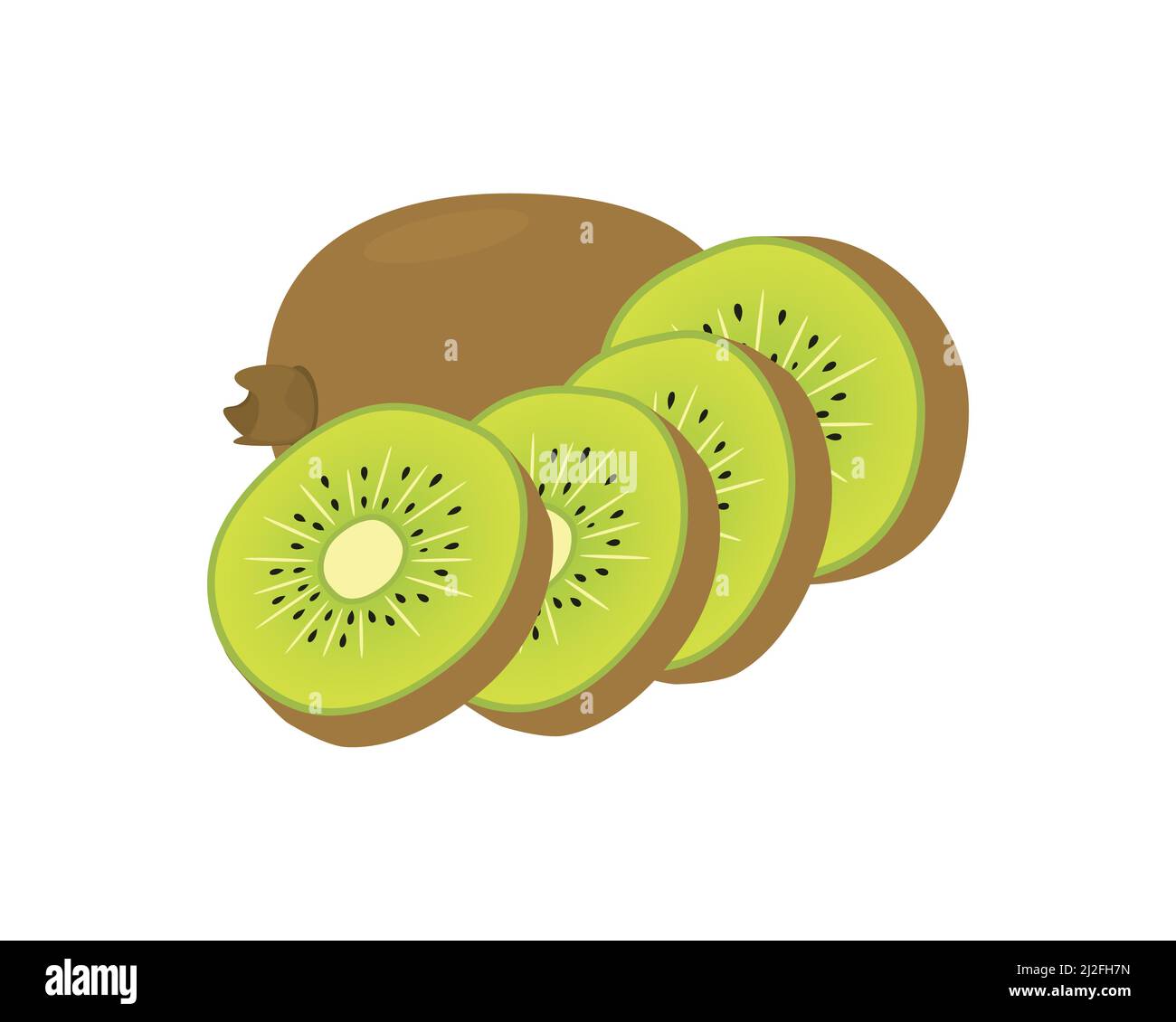 Detailed Kiwi with the Slices Illustration Vector Stock Vector