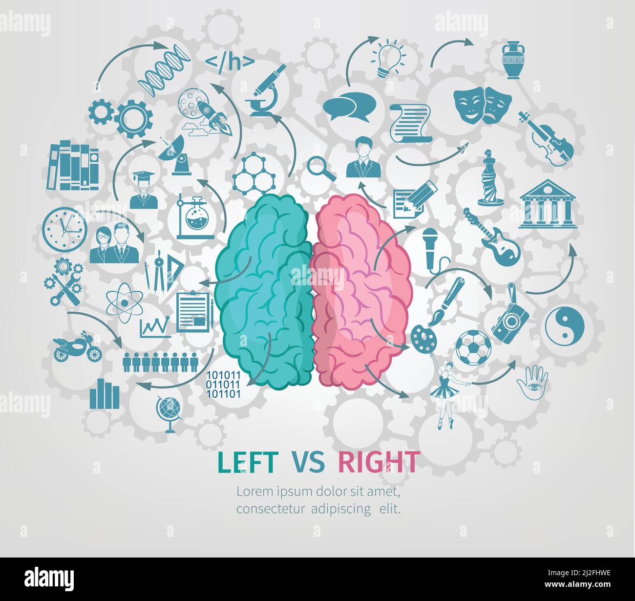 Human Brain Concept With Left And Right Hemispheres Flat Vector ...