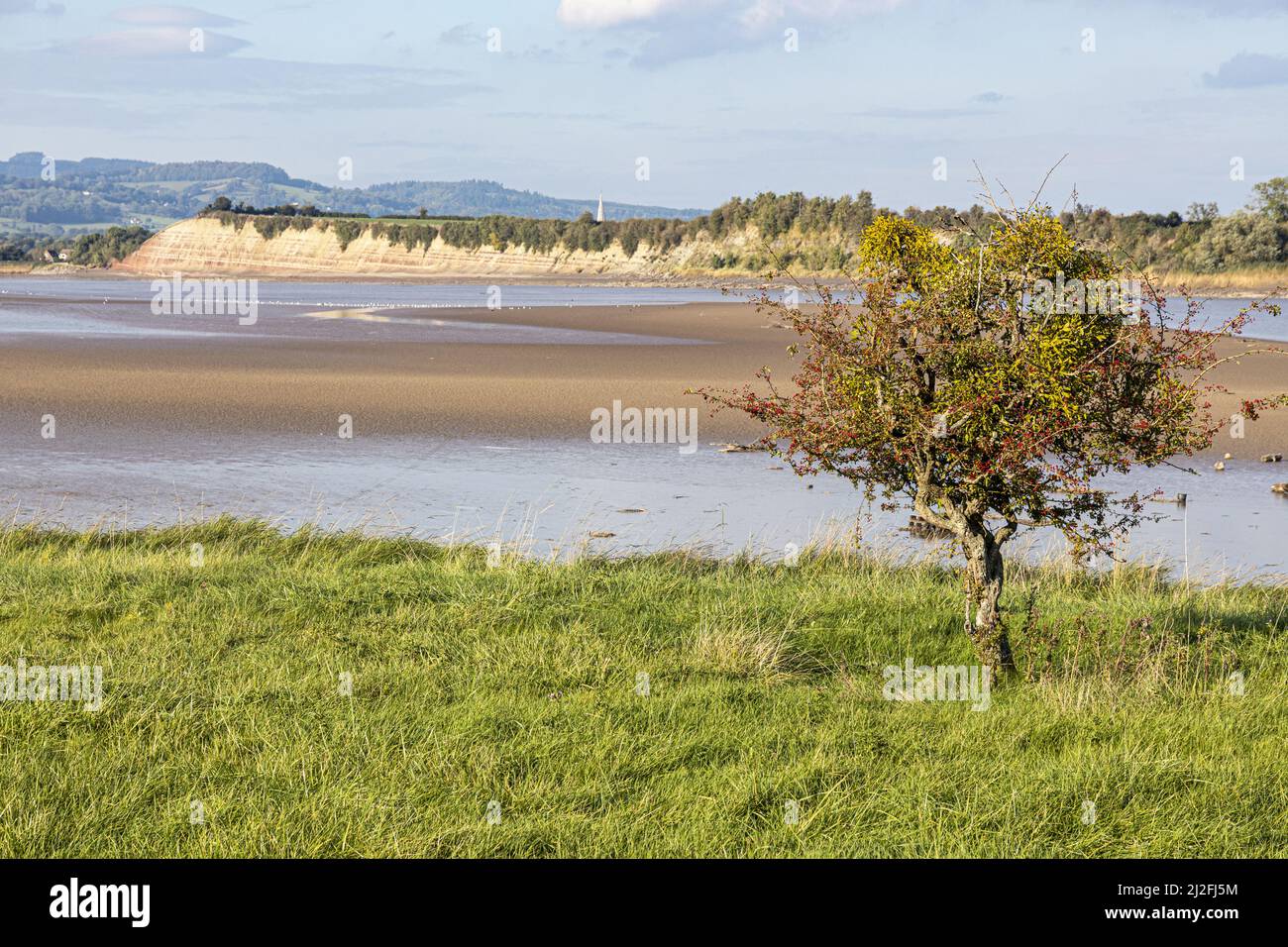 Severn sandbanks hi-res stock photography and images - Alamy
