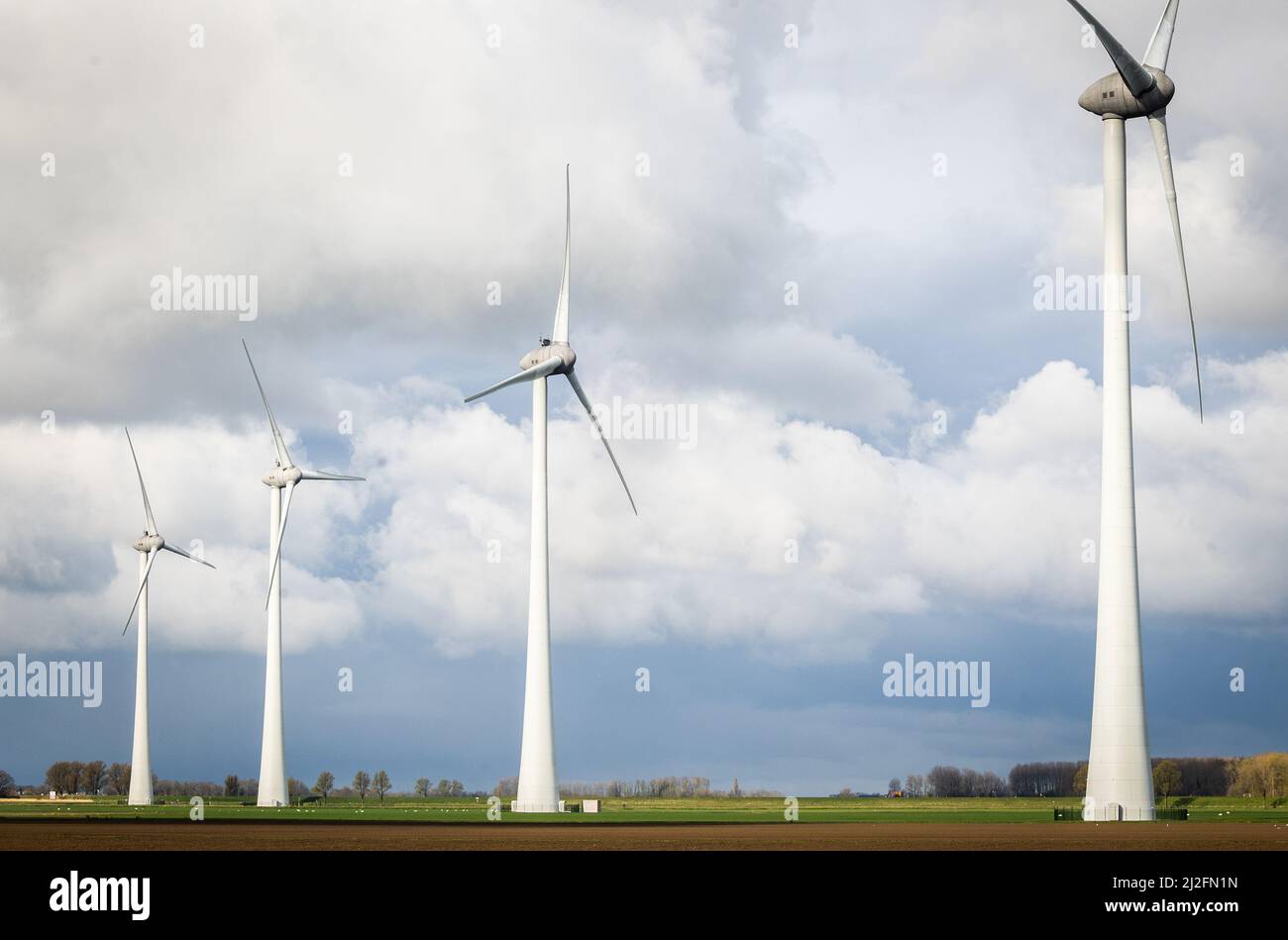 2022-03-31 08:51:49 31-03-2022, Piershil - Windmills in a polder of the Hoeksche Waard. More and more windmills are being built in the Netherlands to achieve climate goals. Photo: ANP / Hollandse Hoogte / Jeffrey Groeneweg netherlands out - belgium out Stock Photo