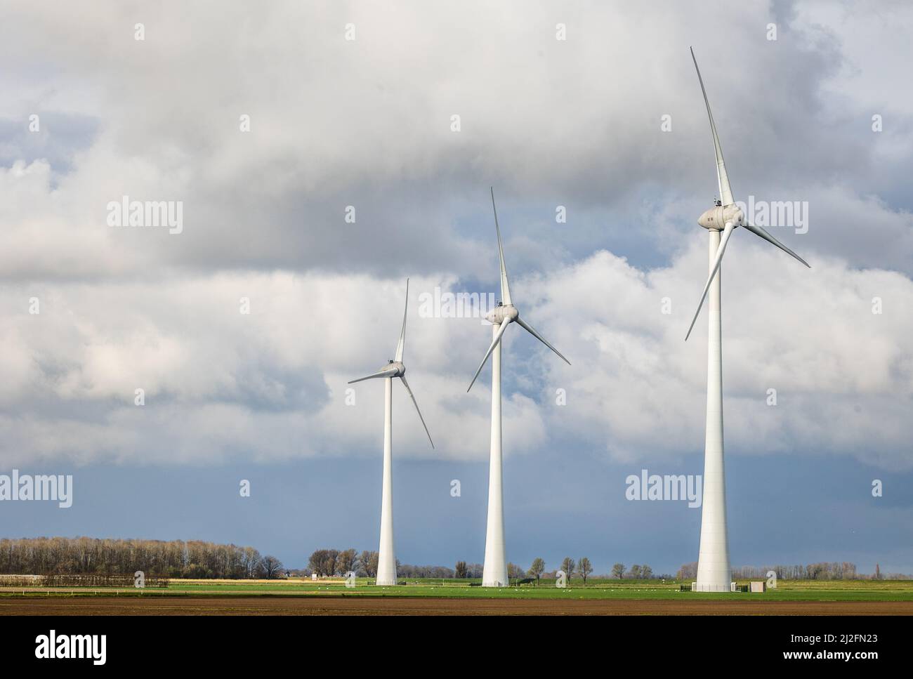 2022-03-31 08:52:05 31-03-2022, Piershil - Windmills in a polder of the Hoeksche Waard. More and more windmills are being built in the Netherlands to achieve climate goals. Photo: ANP / Hollandse Hoogte / Jeffrey Groeneweg netherlands out - belgium out Stock Photo