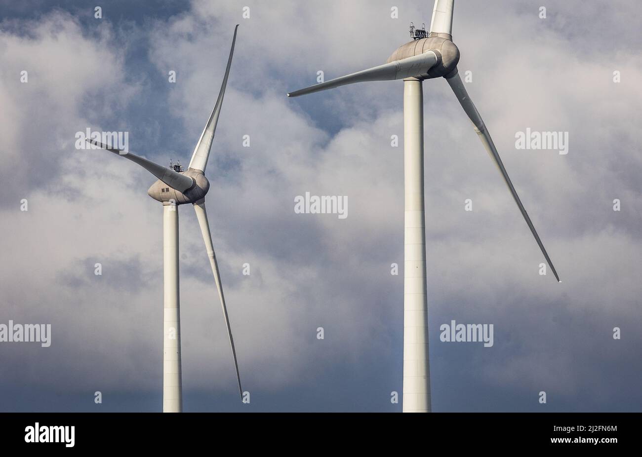 2022-03-31 08:52:51 31-03-2022, Piershil - Windmills in a polder of the Hoeksche Waard. More and more windmills are being built in the Netherlands to achieve climate goals. Photo: ANP / Hollandse Hoogte / Jeffrey Groeneweg netherlands out - belgium out Stock Photo