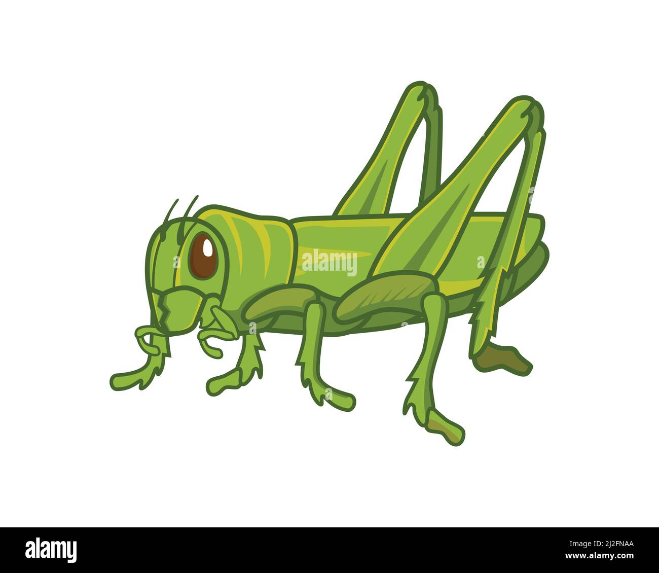 Detailed Standing Green Grasshopper Illustration Vector Stock Vector
