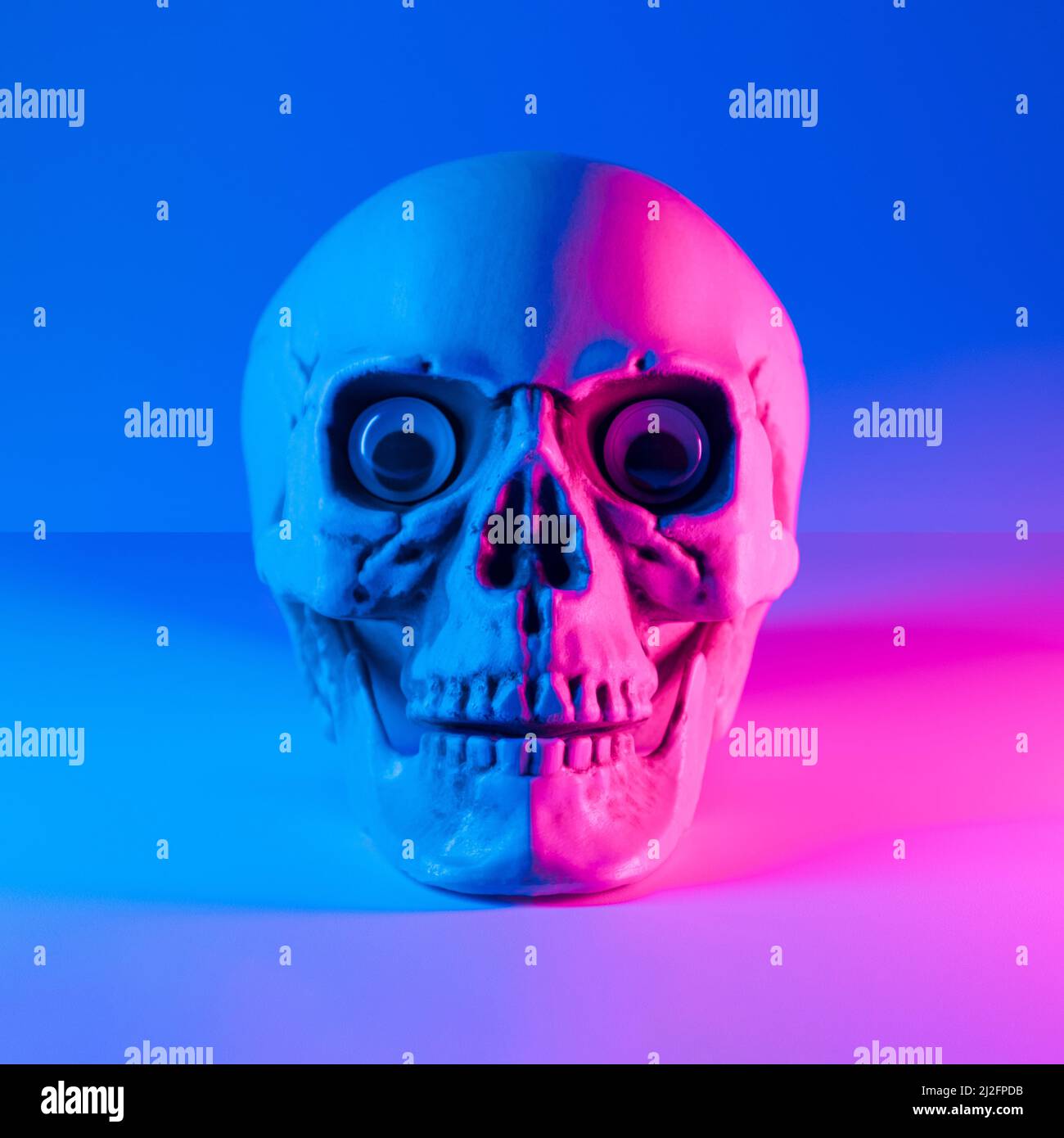 Human skull with angry expression and magenta and blue hues. NFT neon conceptual background. Stock Photo
