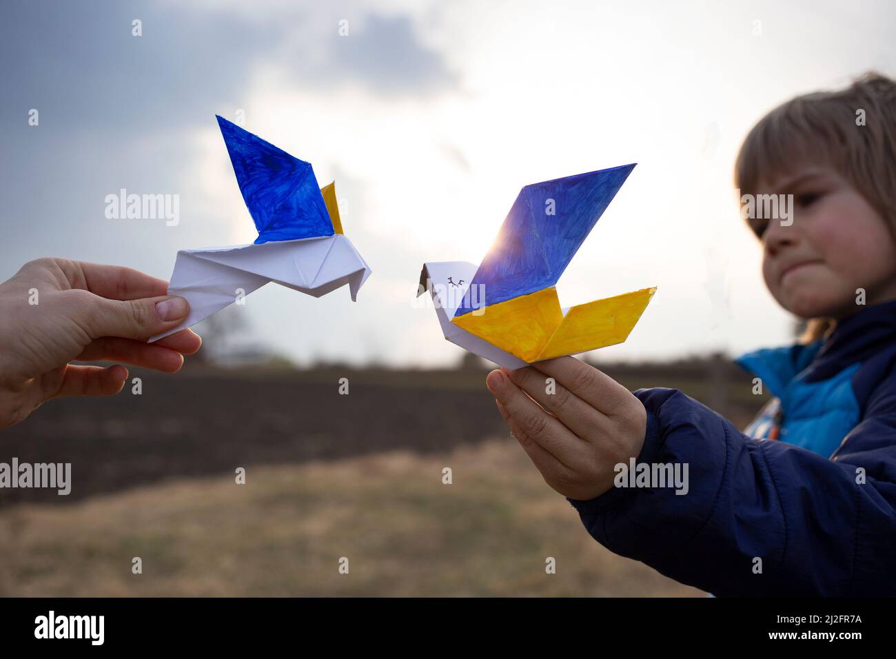 2 paper doves of peace, wings are painted in yellow - blue colors of Ukrainian flag against background of sunset sky. Support Ukrainians. Children for Stock Photo