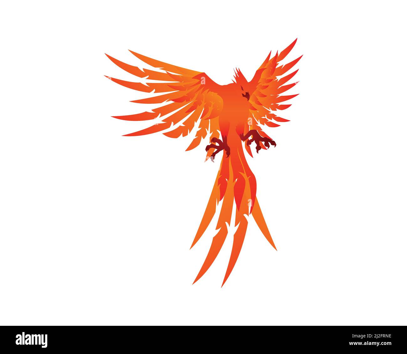 Detailed Flying Phoenix Bird Illustration Vector Stock Vector Image