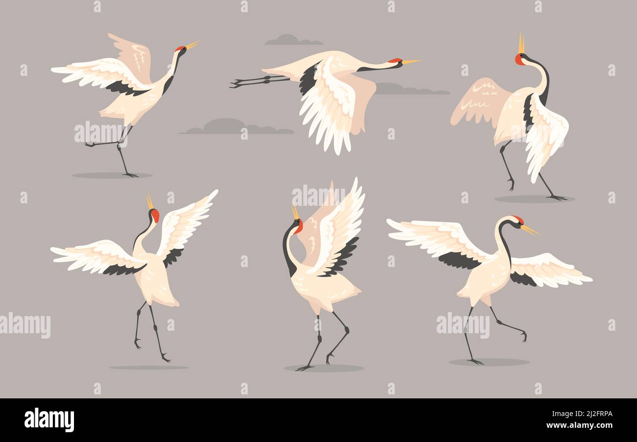 Japanese crane set. White oriental heron or stork, bird flying, dancing