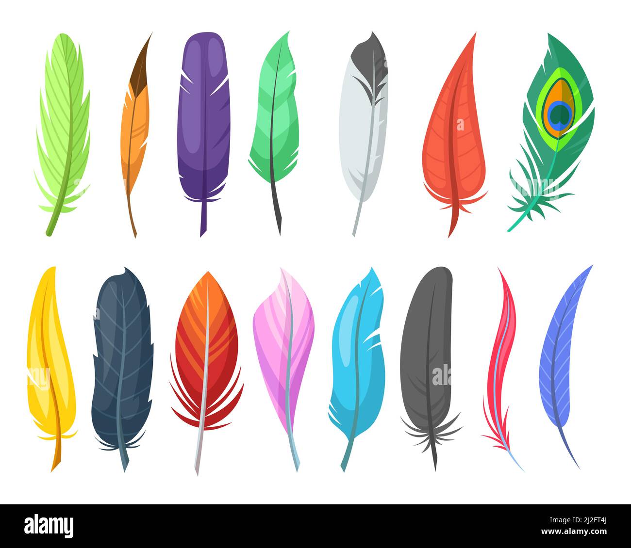 bird's feather graphic vector sketch Stock Vector Image & Art - Alamy