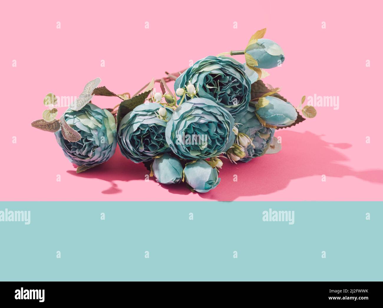 Teal Peonia artificial flowers bouquet on a two tone pastel background. Springtime minimal concept. Stock Photo