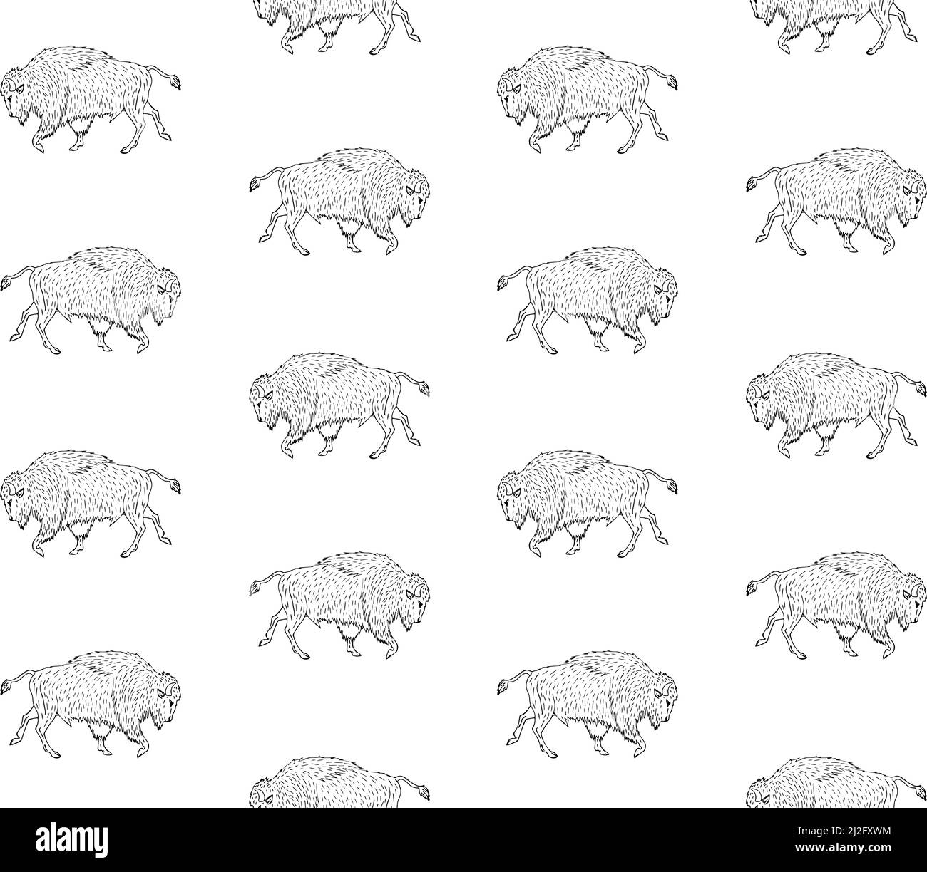 Vector seamless pattern of hand drawn wild bison ox isolated on white ...