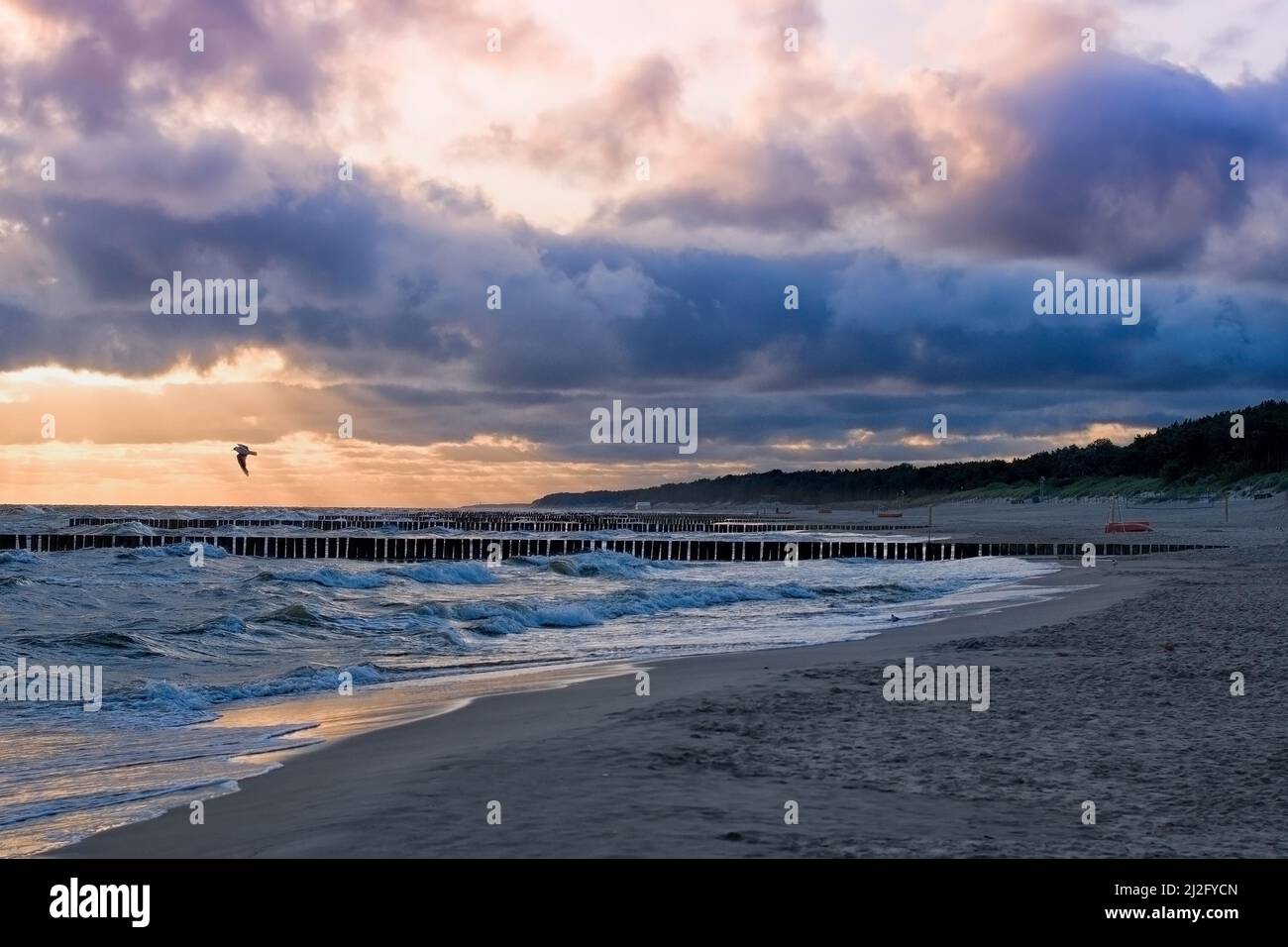 Baltic Sea coast at sunset. A close up Stock Photo