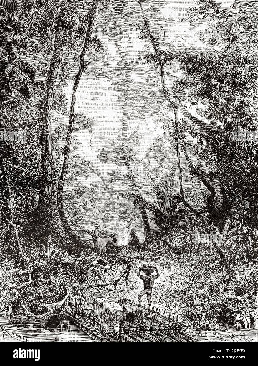 Setting up a camp to spend the night, Guaviare river, Colombia. South 