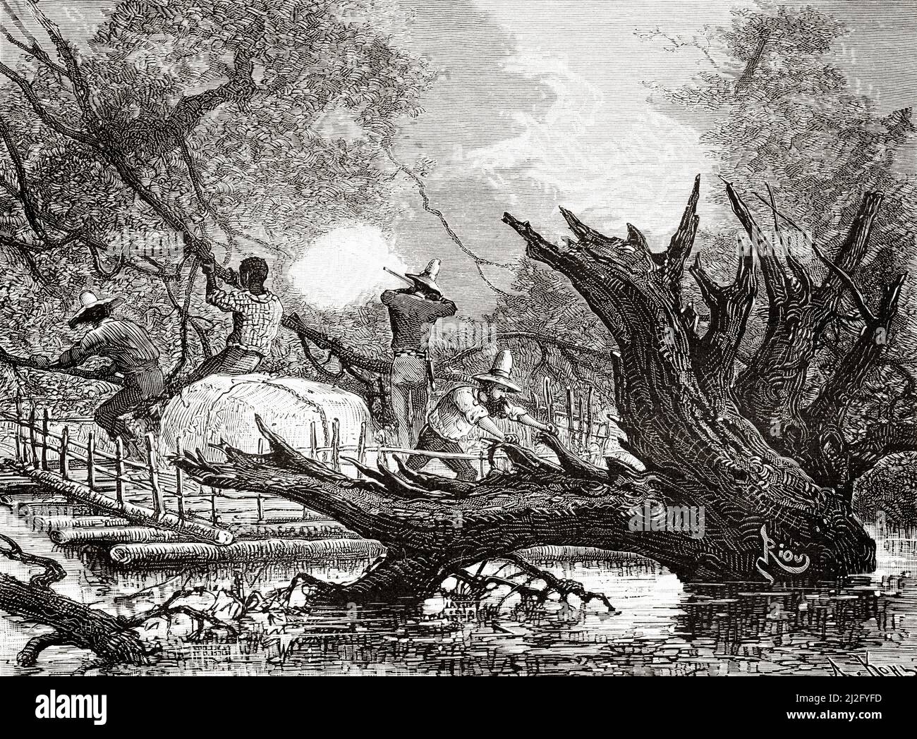 The explorers in difficulties navigating the Guaviare River, Colombia