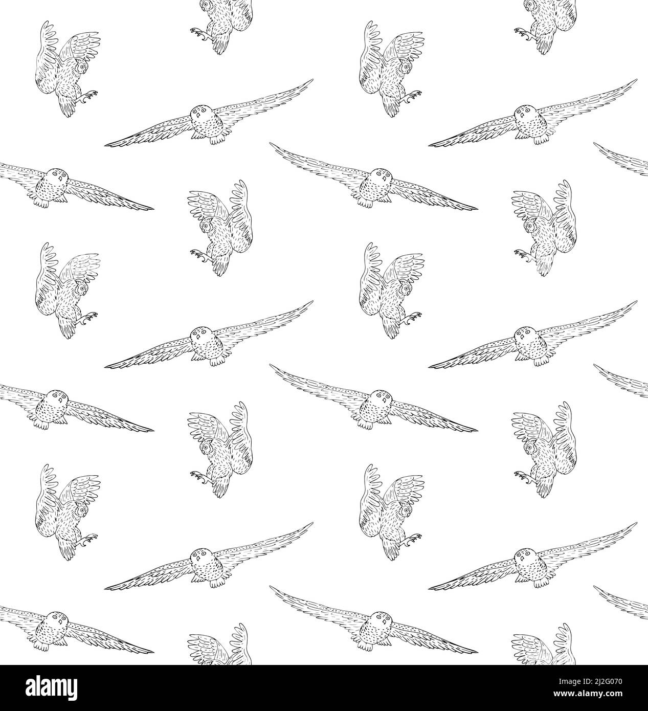 Vector seamless pattern of hand drawn sketch flying owl isolated on ...
