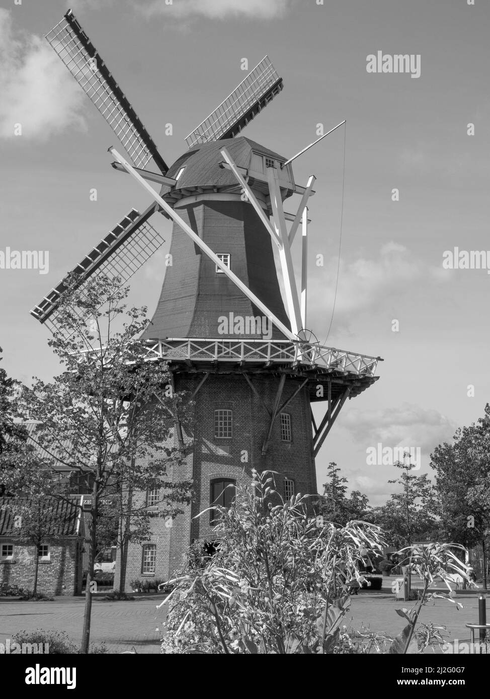 arbeitsagentur papenburg