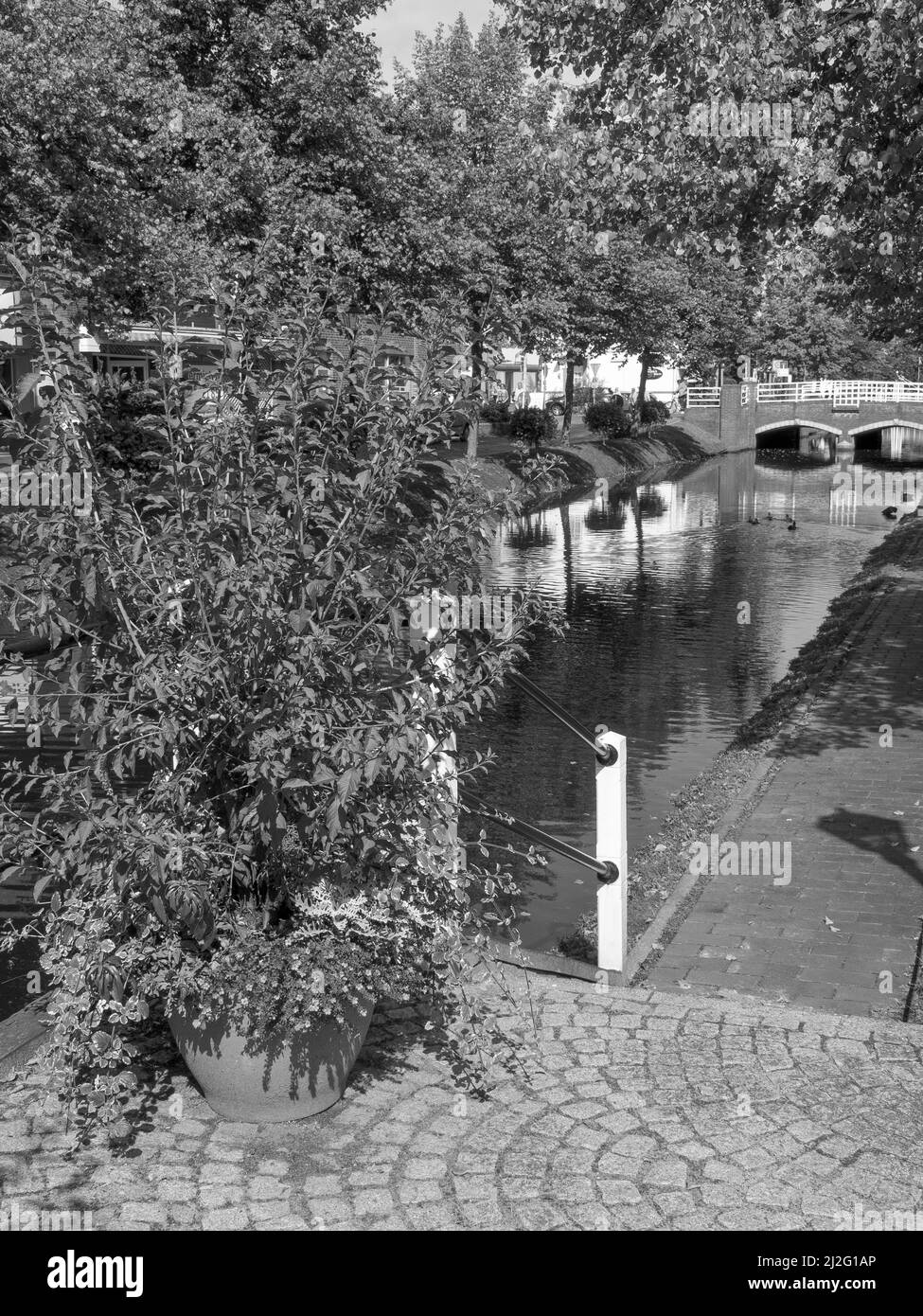 arbeitsagentur papenburg