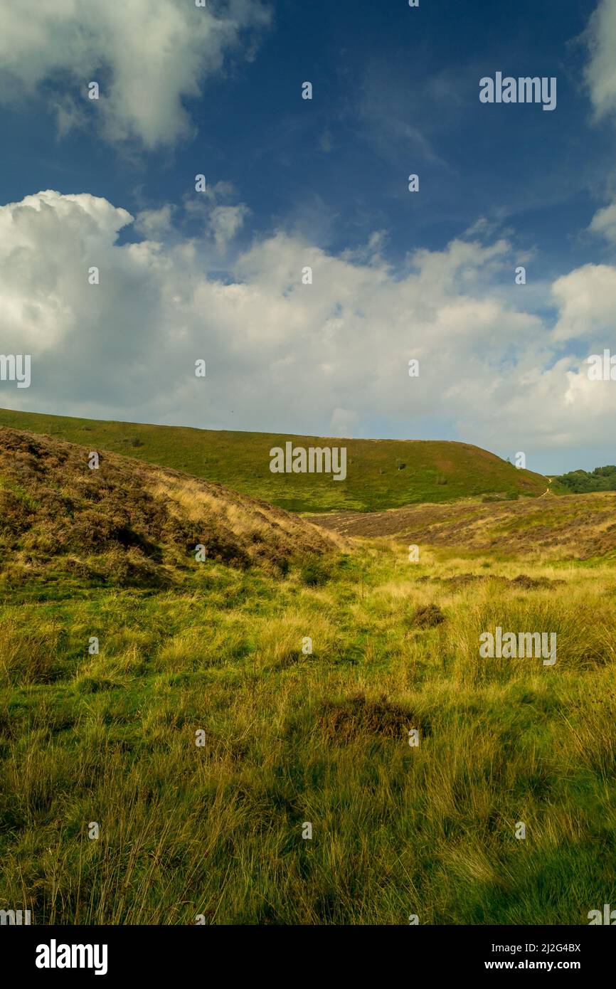 The bottom of the Hole of Horcum in the North Yorkshire Moors National Park. Here you are surrounded by grassy moorland slopes with heather flowering. Stock Photo