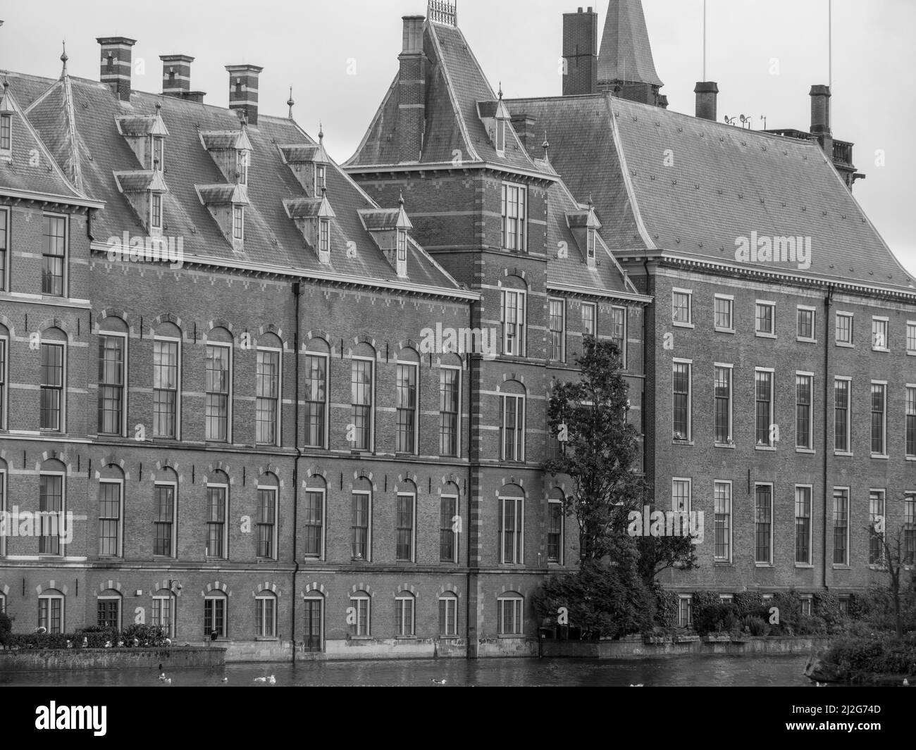 Wildlife thriving around historical forts