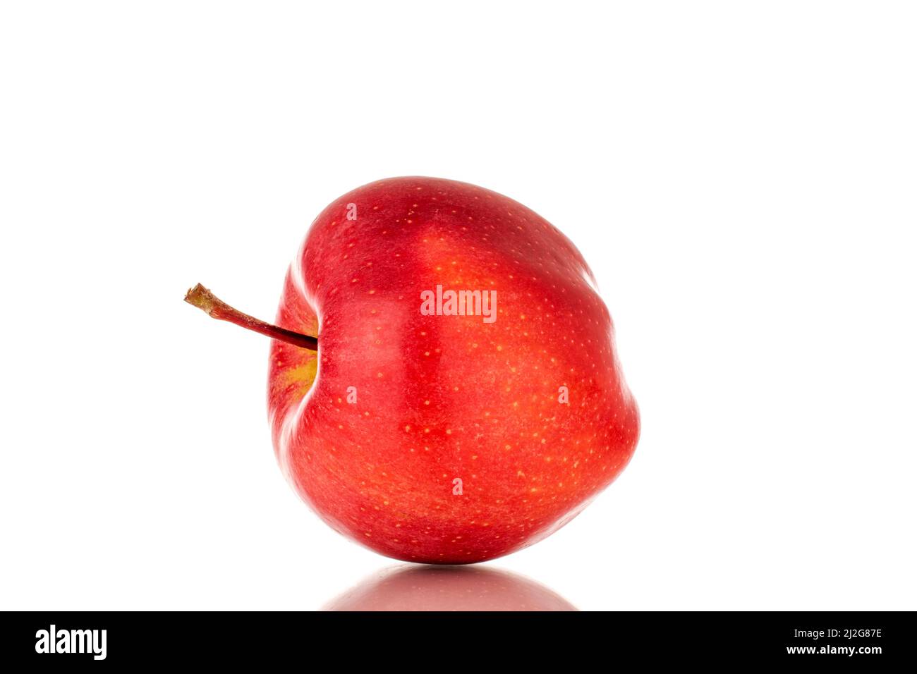 One ripe red apple, macro, isolated on a white background Stock Photo ...