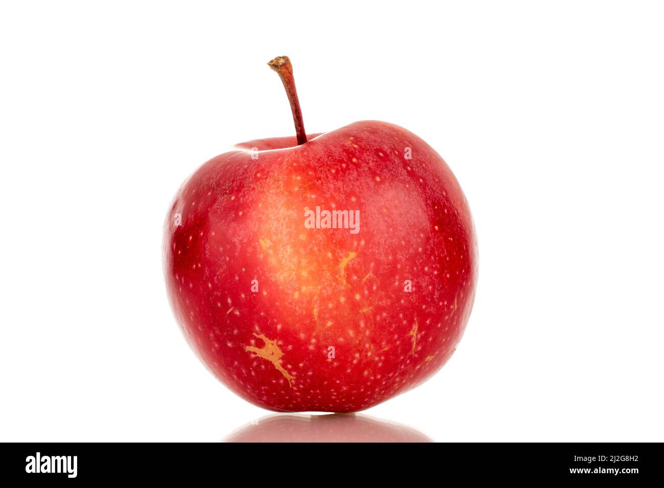 One ripe red apple, macro, isolated on a white background Stock Photo ...