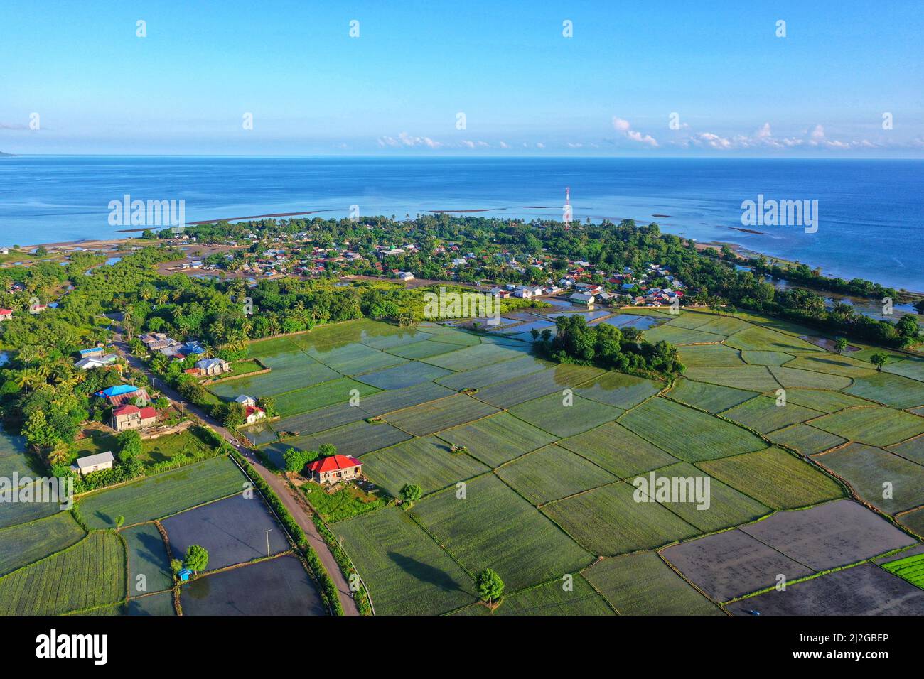 An aerial view of rice fields house buildings and the sea in Pota