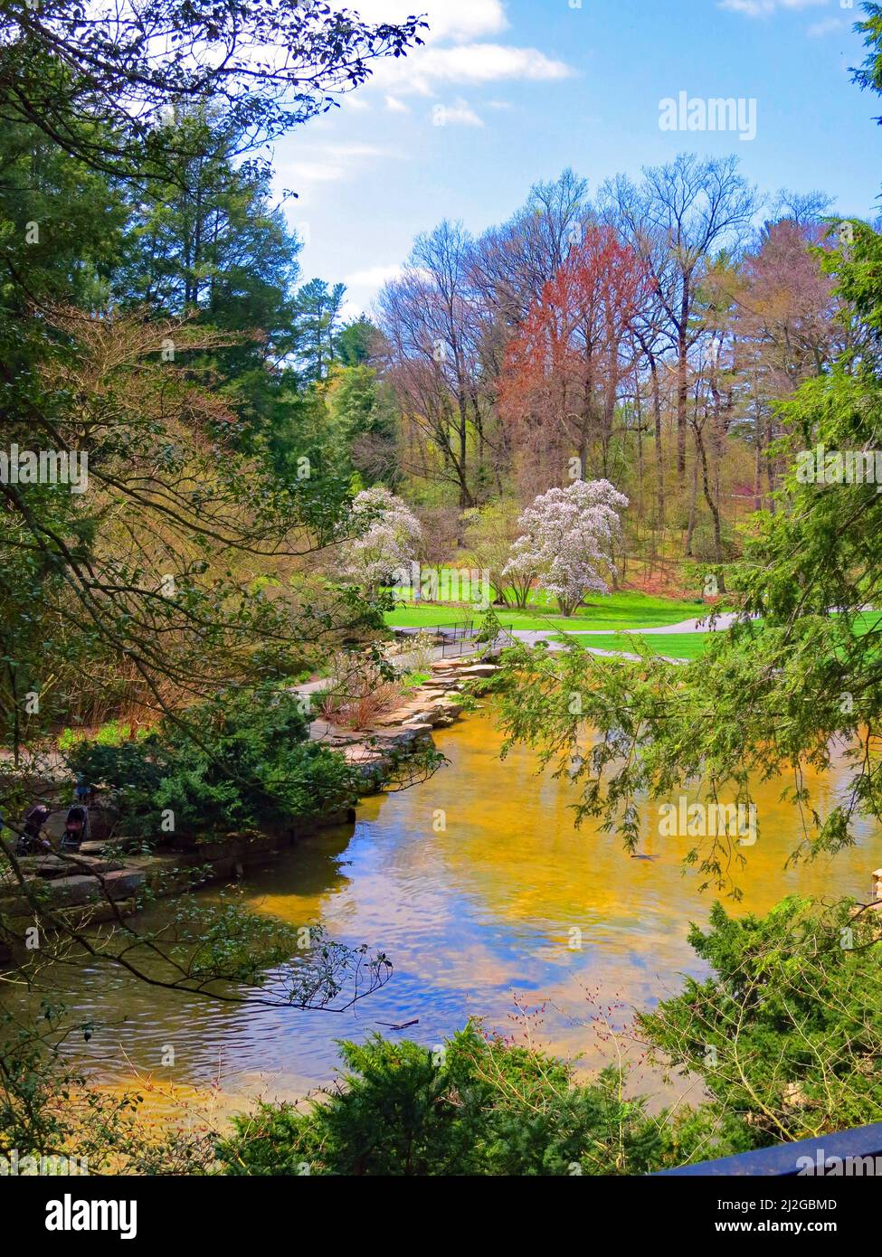 Lake scene with flowers and Cherry Blossoms at  Longwood Gardens Kennett Square,Pennsylvania,USA. Stock Photo