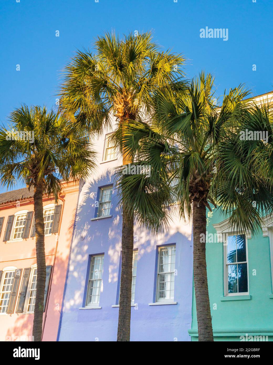 Historic Rainbow Row colorful house and palm trees seen in Charleston South Carolina Stock Photo